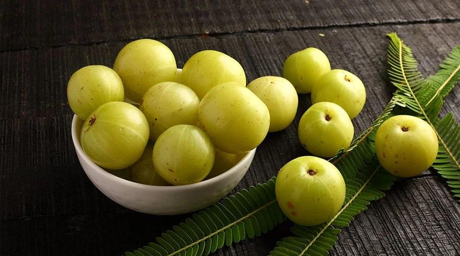 Amla Extract