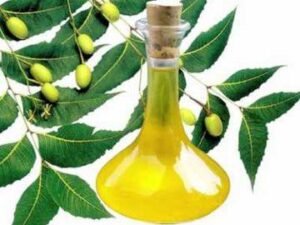 Neem Extract