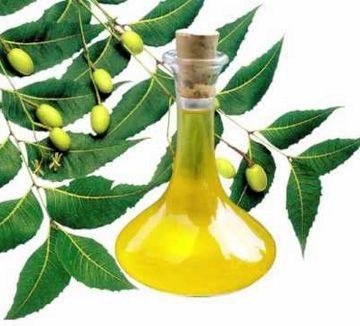 Neem Extract
