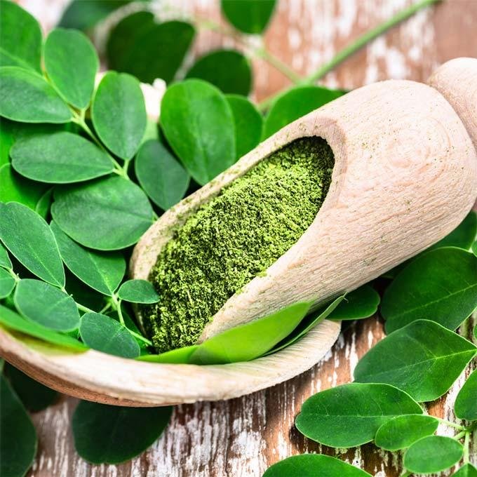 Moringa Extract